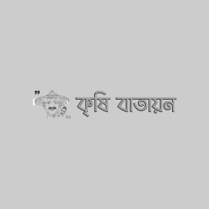 বারি কলা-১